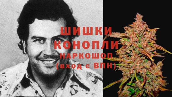 spice Алексеевка