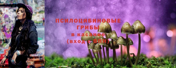 spice Алексин