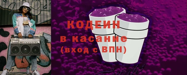 хмурый Корсаков