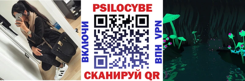 маркетплейс состав  Сорочинск  Псилоцибиновые грибы мицелий 